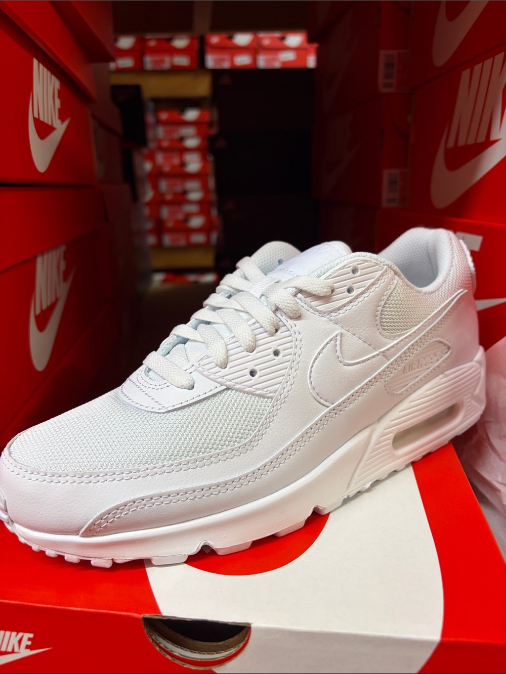 Nike Men’s Air Max 90 - CN8490-100